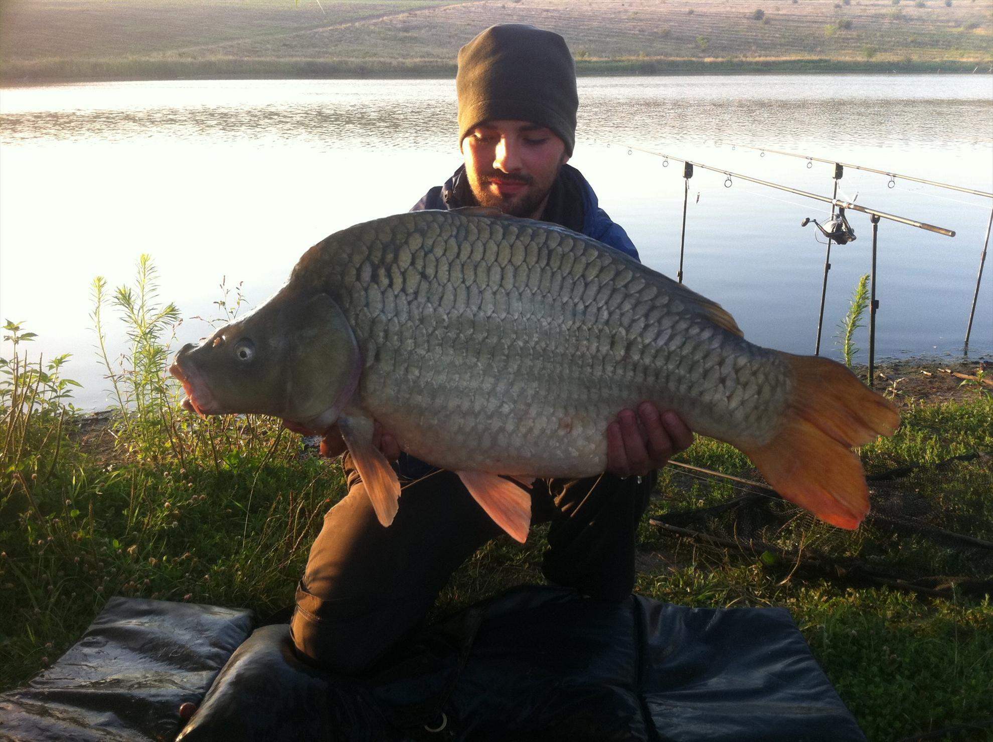 fsh - 14 kg Greaca Cercani